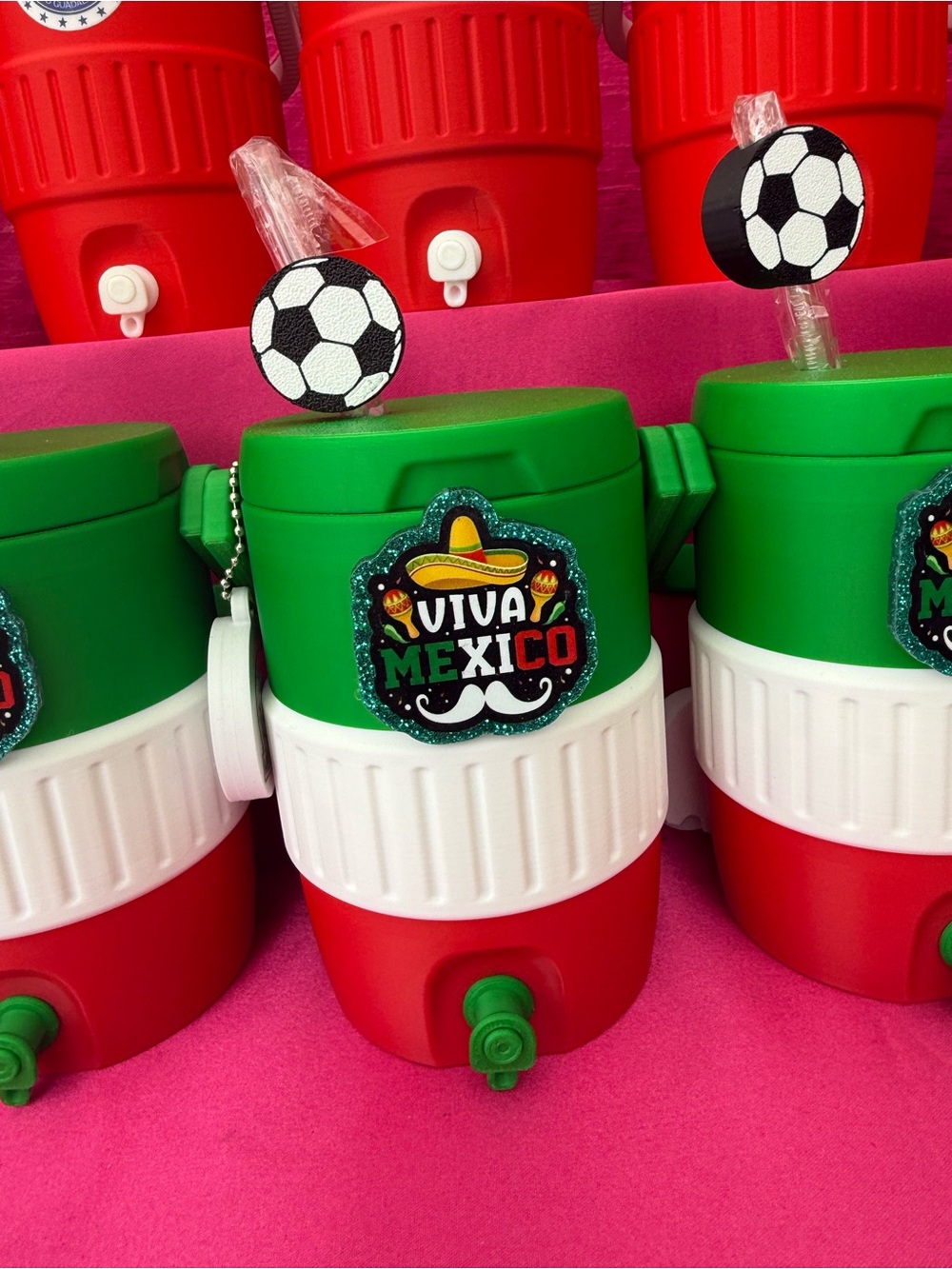 Viva Mexico Red White Green Beverage Cooler